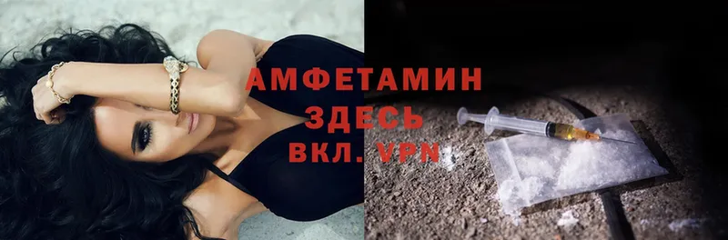 Amphetamine Розовый  Куса 